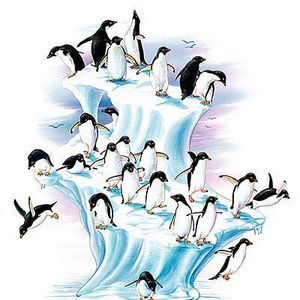 Meet your Posher, Janell